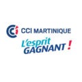 CCI-Martinique-logo-sonore-audio-branding